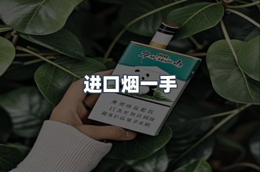越南香烟系列